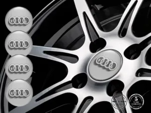 Audi Badge Ruota Sports Temporal Thrust Wave
